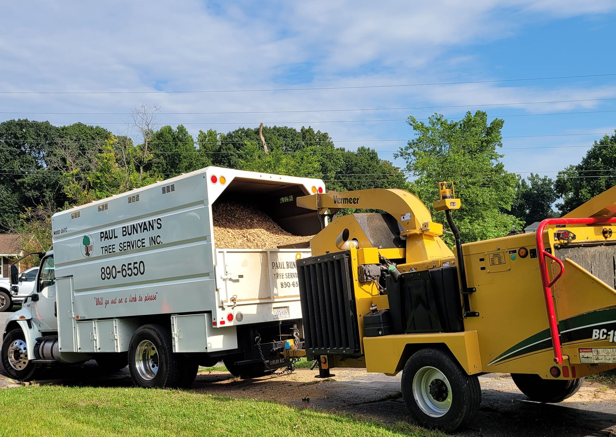 Grinder 509364935_10164932784517437_3991259274852362593_n White Paul Bunyan’s Tree Service chip truck loaded with wood chips parked next to a yellow Vermeer wood chipper on a sunny day, showcasing family‑run tree service equipment and ISA‑certified arborist removal capability