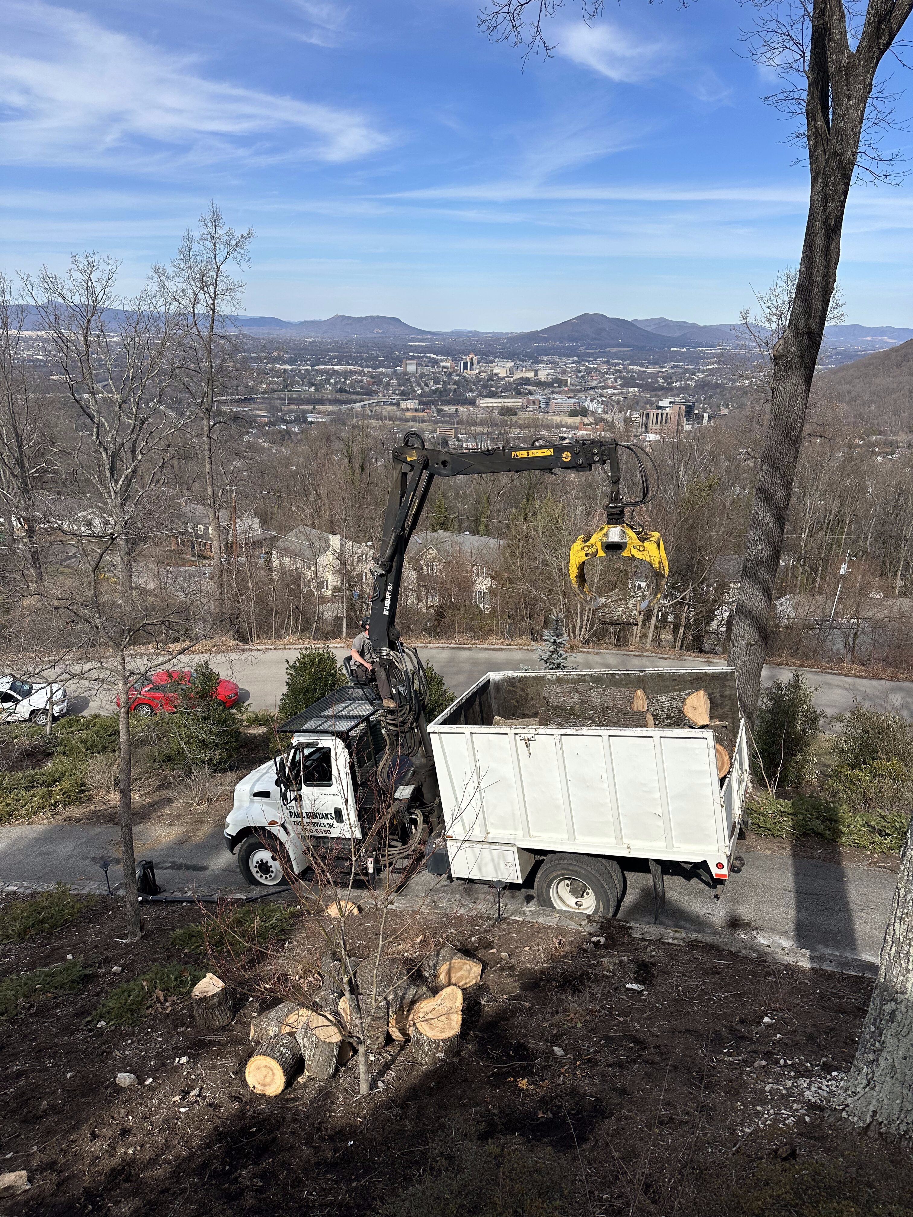 IMG_0911 Tree service truck with a hydraulic grapple loading large cut logs into a white debris body on a hillside, crews clearing and pruning mature trees above a city valley with distant mountains and blue sky