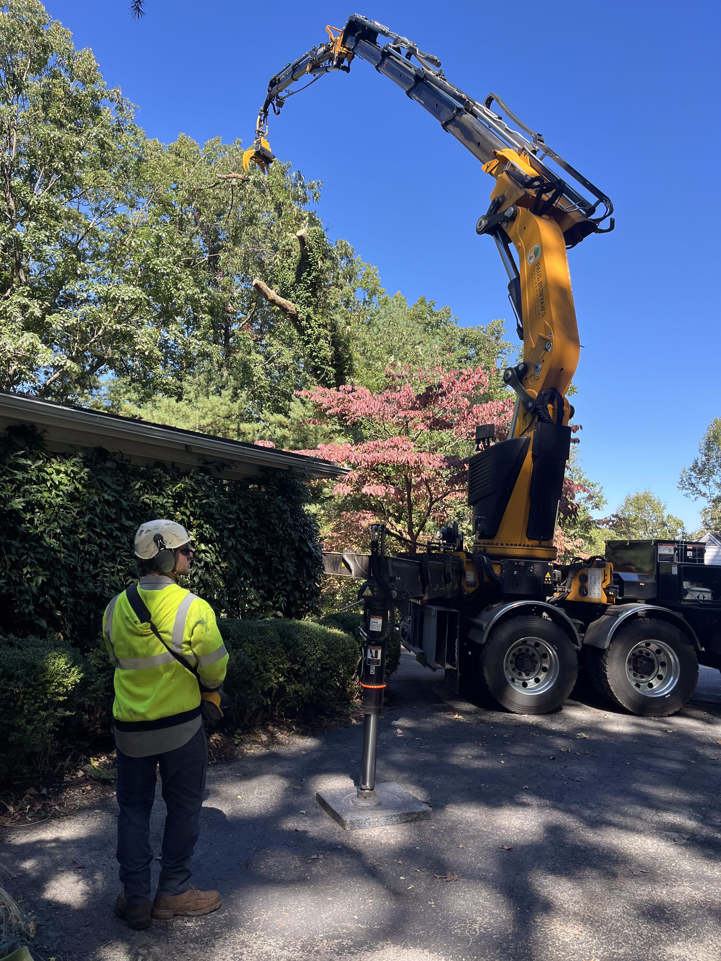 IMG_2778 Arborist wearing safety gear cutting a tree branch with a chainsaw while secured with ropes, demonstrating expert tree removal service in Roanoke, Virginia.