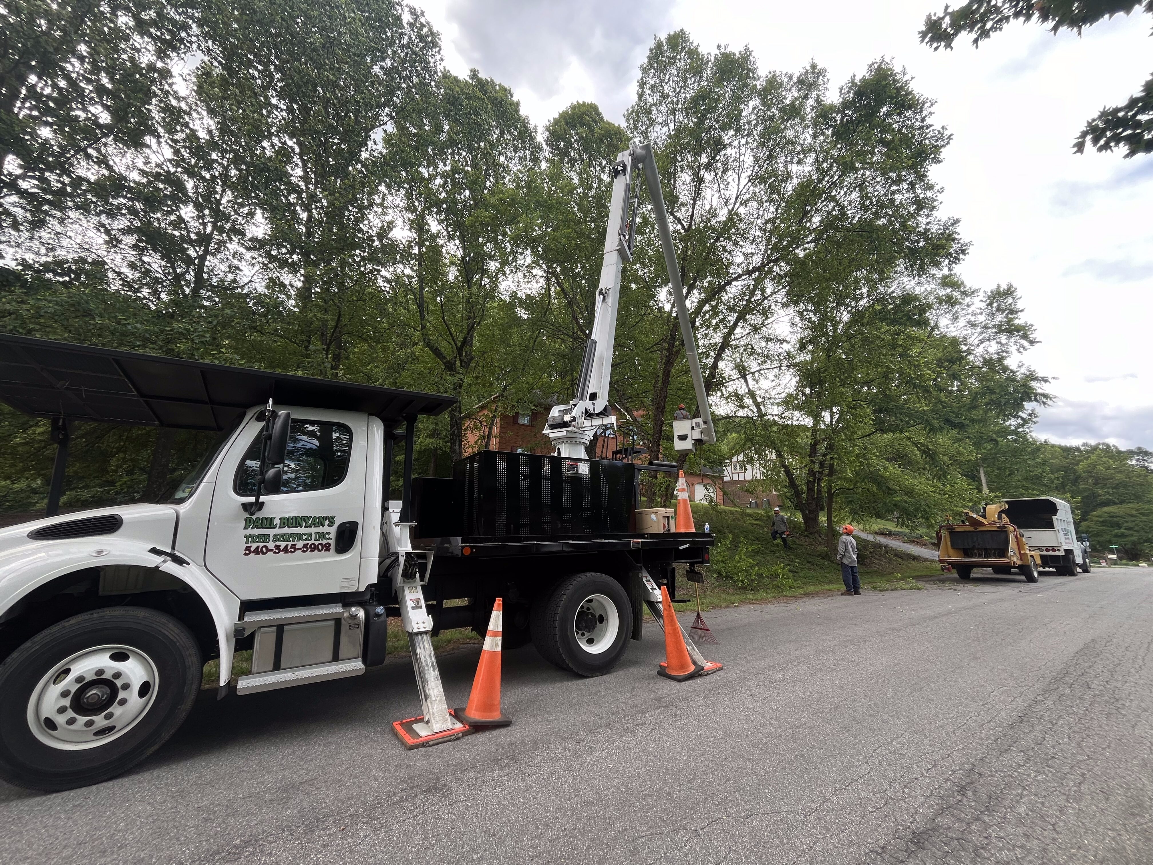 IMG_3275 Paul Bunyan’s Tree Service truck with raised bucket lift and safety cones beside a residential street while crew members trim tall roadside trees, wood chip truck parked further down, overcast sky