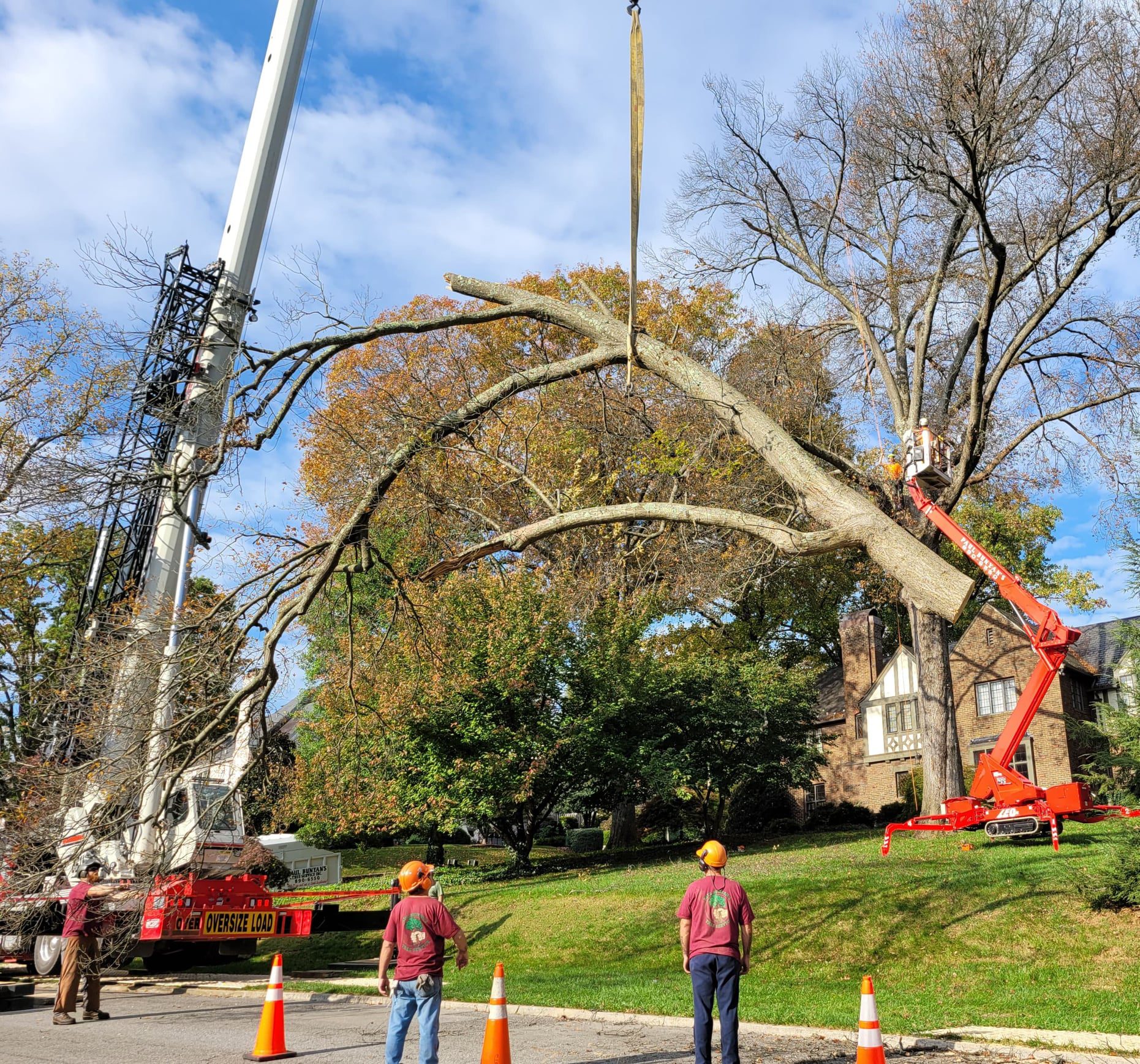Stick Crane Big Job! Workers in hard hats from Paul Bunyan’s Tree Service use a crane and cherry picker to lift and remove a large, storm‑damaged tree limb from a residential front yard with a Tudor‑style house in the background