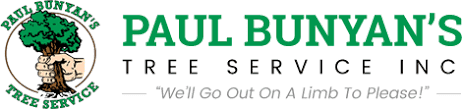 Paul Bunyan’s Tree Service logo with a strong hand gripping an axe embedded in a tree stump, surrounded by green text highlighting expert tree care in Roanoke, Virginia.