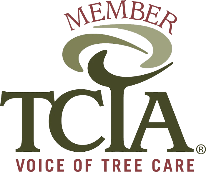 tcia TCIA member logo with stylized green tree graphic above large serif letters "TCIA" and red "MEMBER" arc and tagline "VOICE OF TREE CARE" indicating professional tree care industry association membership